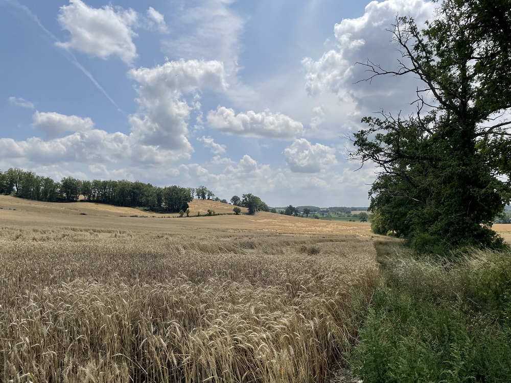 Photo-parcelles
